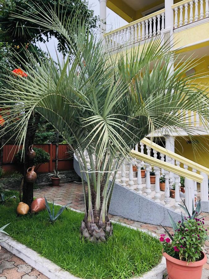 Hotel George'S House Kobuleti Zewnętrze zdjęcie